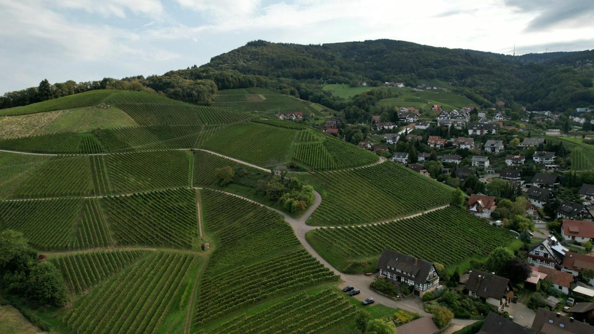 Renatas Ferienwohnung Sasbachwalden Buitenkant foto
