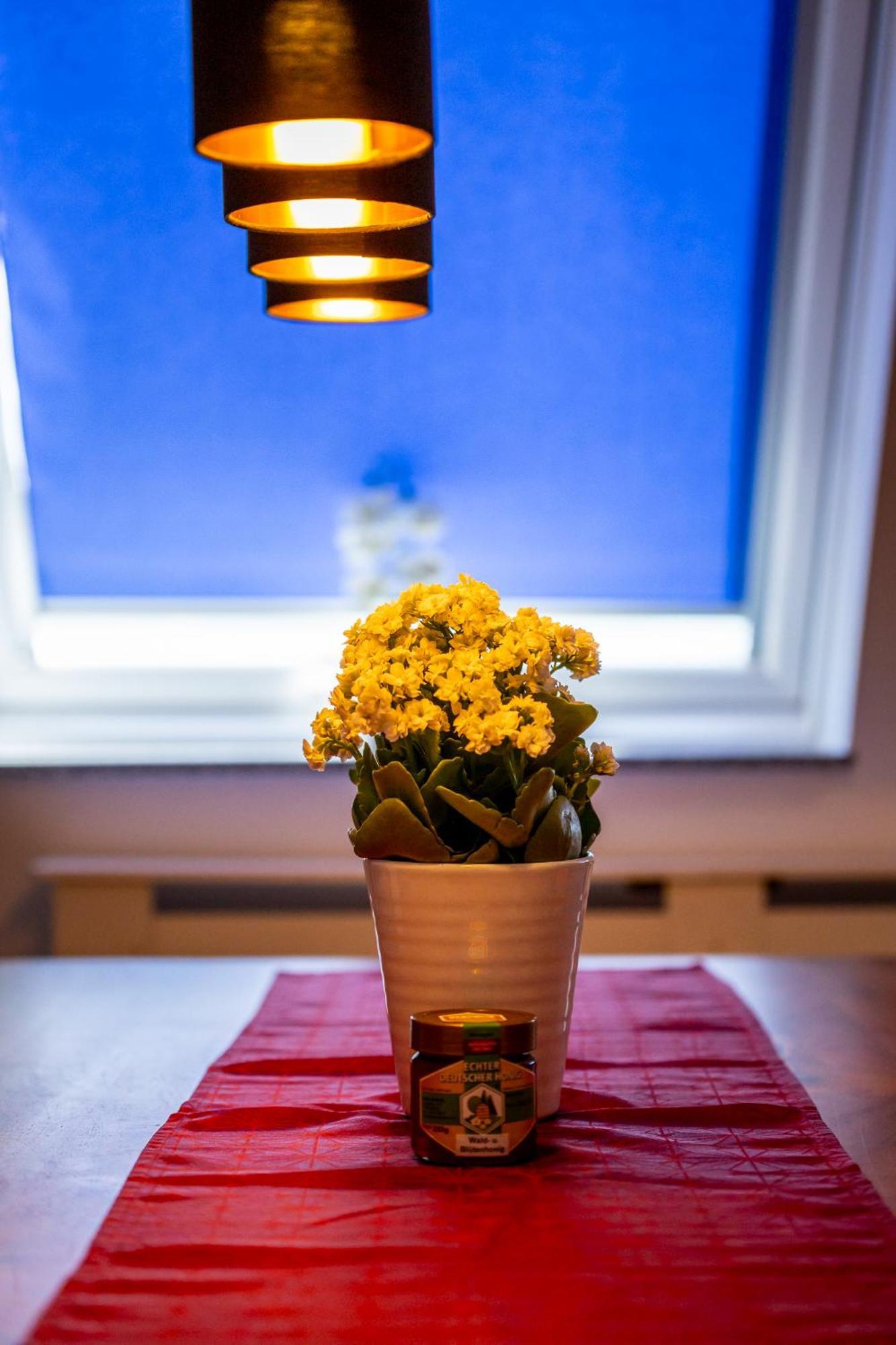 Renatas Ferienwohnung Sasbachwalden Buitenkant foto